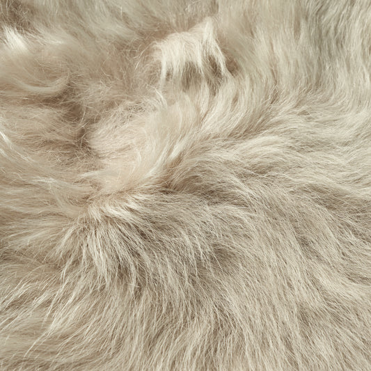23 - Agnello Sabbia